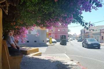 La tertulia La Buganvilla se queda sin sombra